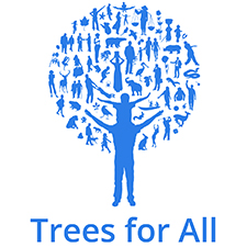 trees for all teambuilding Luton